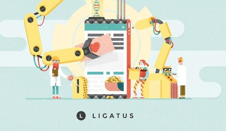 Ligatus Türkiye