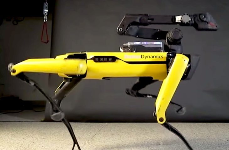 Robot köpek Spot