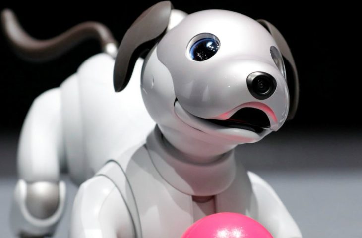 Sony robot köpek