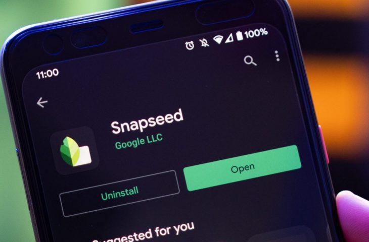 Google Snapseed uygulaması